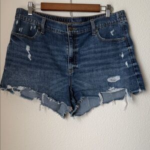 Aerie Daydreamer Distressed Shorts